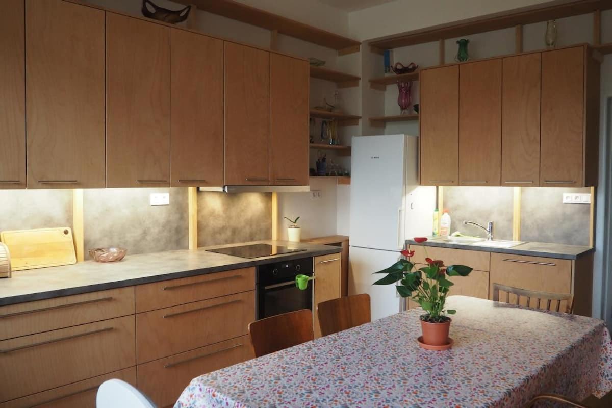 Rodinny Apartman V Centru Prahy プラハ エクステリア 写真